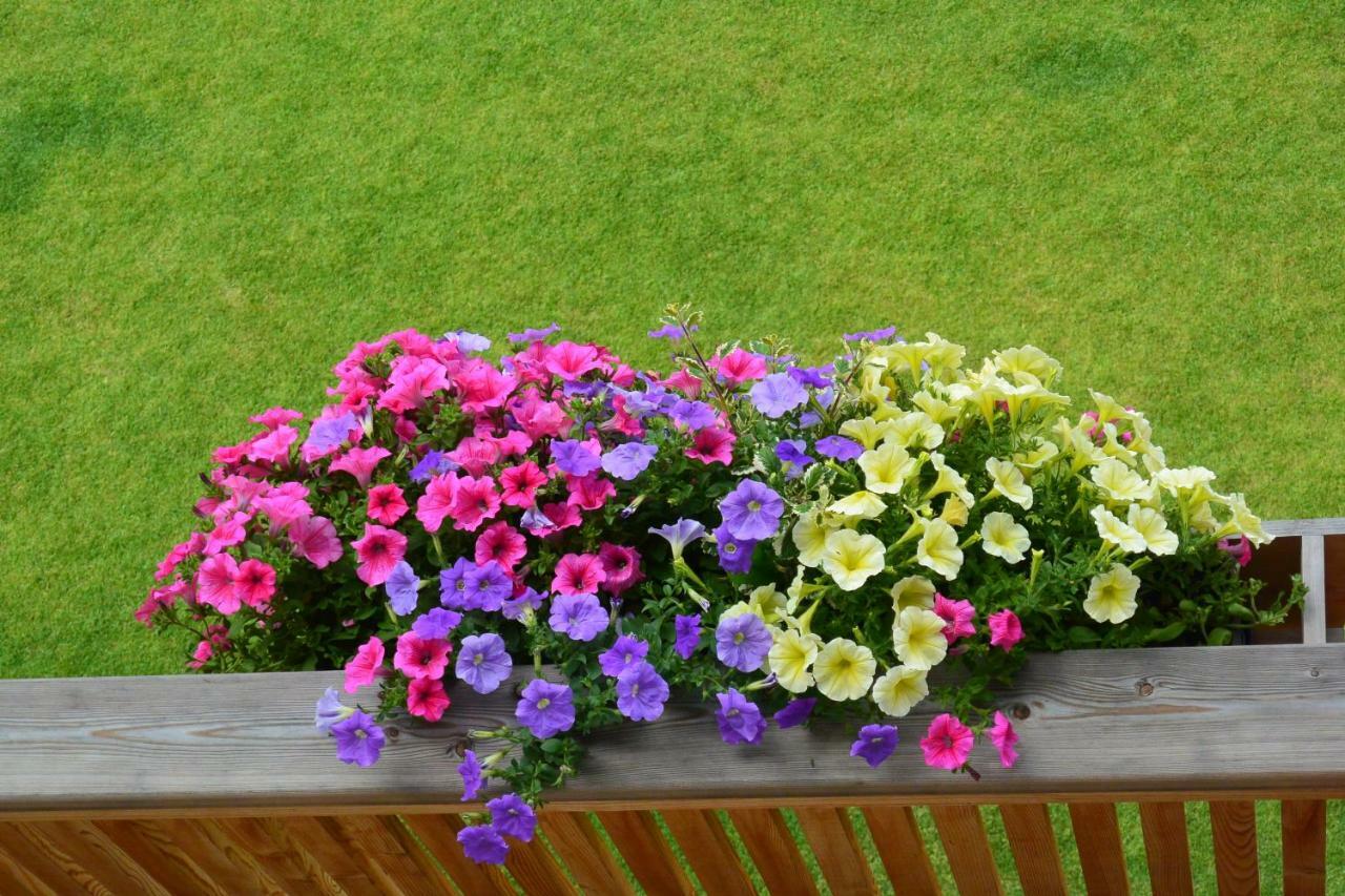 Apartment Haus Bernard Siusi